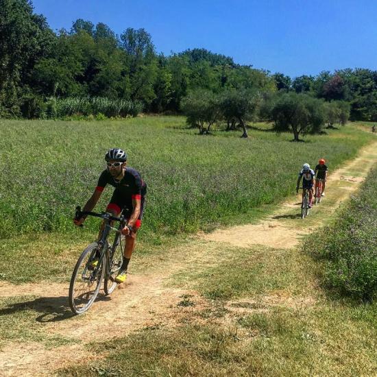 Ciclisti su un sentiero sterrato in campagna verde.