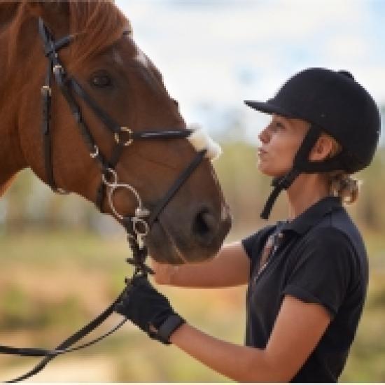 Cavaliere con casco accarezza un cavallo marrone all'aperto.