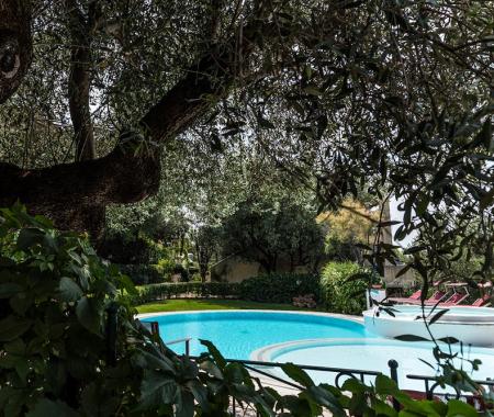 Piscina circondata da alberi e vegetazione lussureggiante.