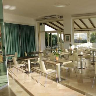 Sala da pranzo luminosa con tavoli e sedie moderne, piante decorative.
