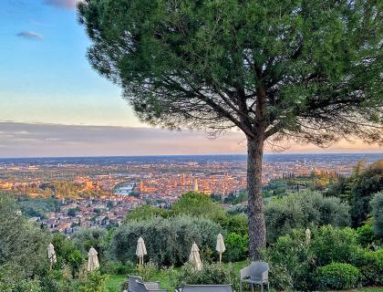 Vista panoramica su una città con albero in primo piano.