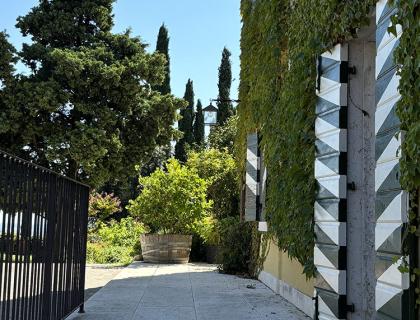 Edificio con edera, lampioni e alberi al sole.