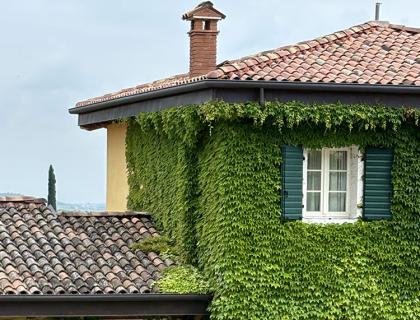 Casa gialla con edera, persiane verdi e tetto in tegole.