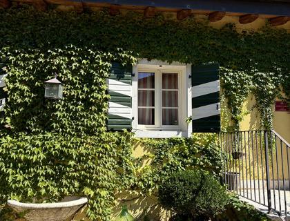 Casa con edera, damigiane e finestre colorate.