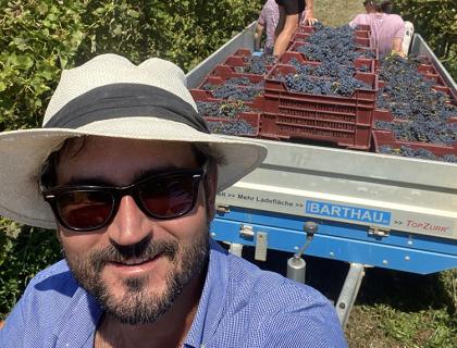 Vendemmia in corso con casse d'uva e persone al lavoro.