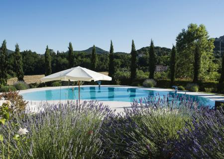 Piscina circondata da cipressi e lavanda, paesaggio collinare.