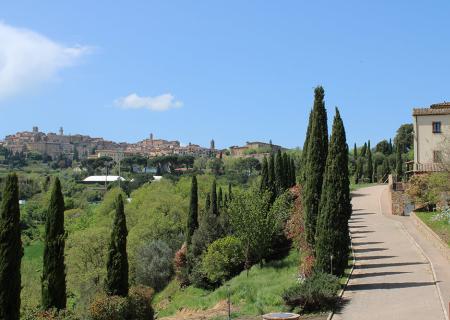 Strada alberata conduce a un borgo collinare sotto un cielo azzurro.