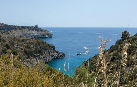 Paesaggio costiero sereno con mare blu e natura rigogliosa.