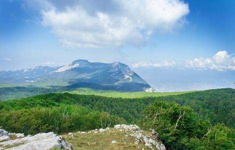 Montagne verdi e cielo azzurro evocano pace e libertà.
