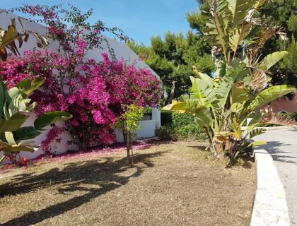 Giardino mediterraneo con bouganville fiorite e palme, sotto un cielo sereno.