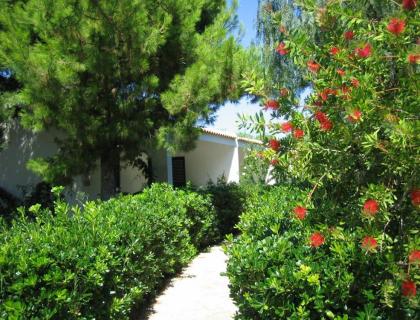 Giardino rigoglioso con fiori rossi, sole splendente, atmosfera serena e naturale.