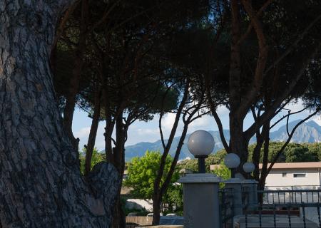 Alberi ombrosi, lampioni sferici, montagne lontane, atmosfera serena.