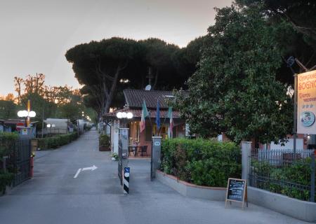 Ingresso serale di un campeggio tranquillo, con luci soffuse e natura rigogliosa.