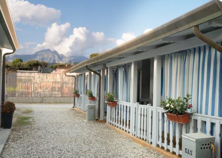 Casetta bianca con finestre blu tra pini, atmosfera rilassante e luminosa.