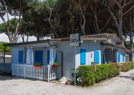 Blue cottage among pines, relaxing and holiday vibe.