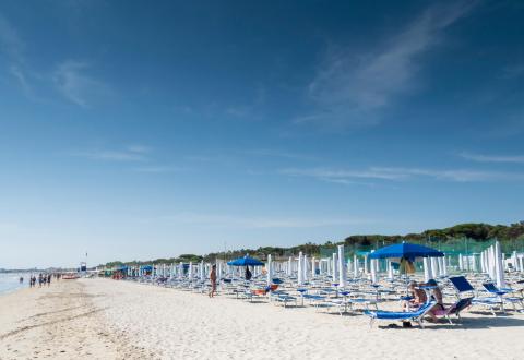 parkhotelpineta en special-offer-on-apartments-near-the-sea-in-cervia 022