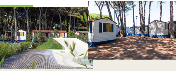 Pineta Sul Mare Camping Village