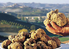 Fiera Nazionale del Tartufo