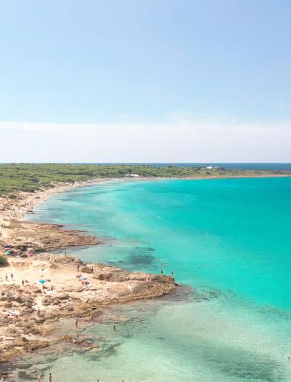 Spiaggia con mare turchese e vegetazione verde.