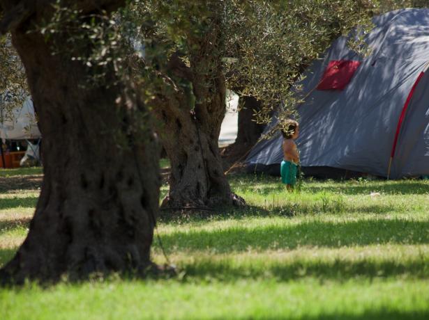 baiadigallipoli it vacanza-coperta-da-assicurazione-in-camping-nel-salento-puglia 011