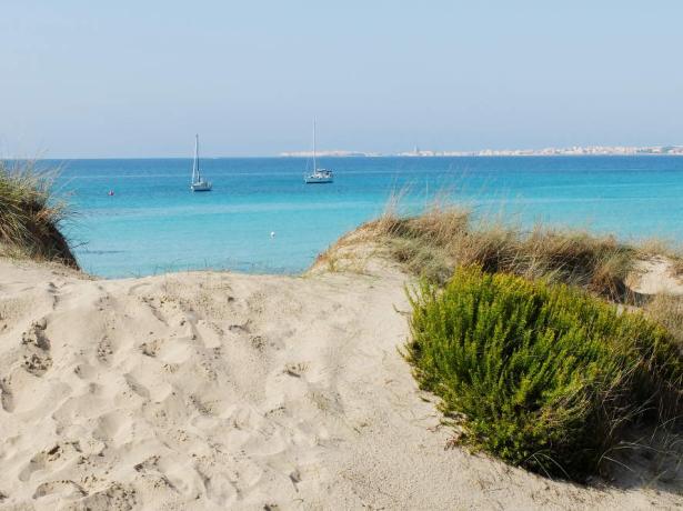 baiadigallipoli en weekend-in-a-mobile-home-with-an-easy-start-in-a-camping-resort-in-salento 015