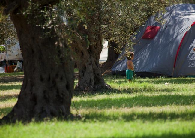 baiadigallipoli en holiday-covered-by-insurance-on-campsite-in-salento-apulia 019