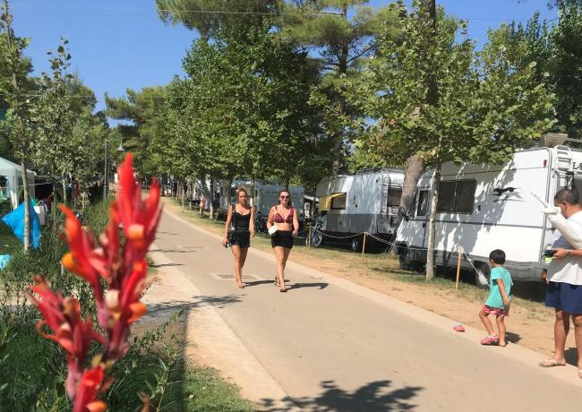 baiadigallipoli it vacanza-coperta-da-assicurazione-in-camping-nel-salento-puglia 018