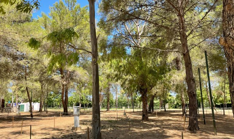 baiadigallipoli fr vacances-family-sur-emplacement-en-pleine-nature-avec-service-plage-pratique 015