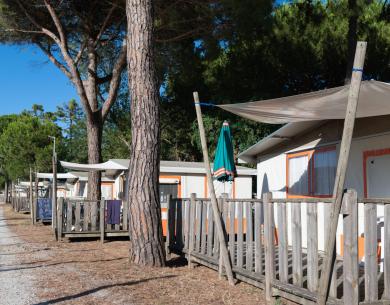 campingcesenatico en offer-triathlon-cervia-ironman-made-in-italy-holiday-in-cesenatico 022
