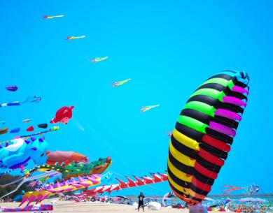campingcesenatico en offer-kite-festival-cervia-on-camping-cesenatico-near-the-beach-of-pinarella 018
