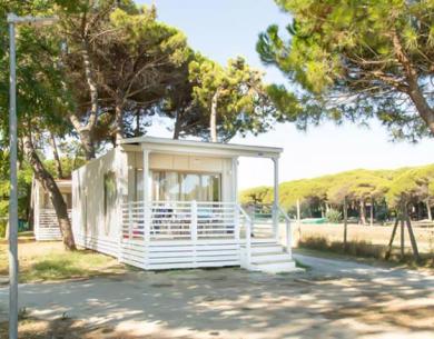 campingcesenatico en late-august-offer-camping-cesenatico-with-beach-swimming-pool-and-entertainment 018