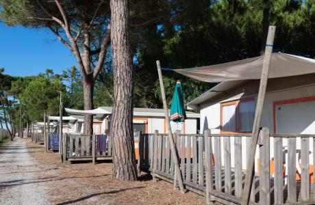 campingcesenatico en offer-triathlon-cervia-ironman-made-in-italy-holiday-in-cesenatico 017