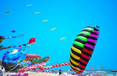 campingcesenatico en offer-kite-festival-cervia-on-camping-cesenatico-near-the-beach-of-pinarella 013