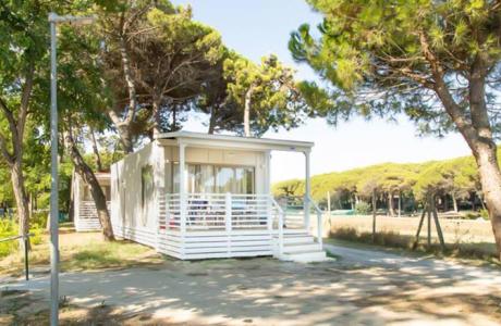 campingcesenatico en late-august-offer-camping-cesenatico-with-beach-swimming-pool-and-entertainment 013