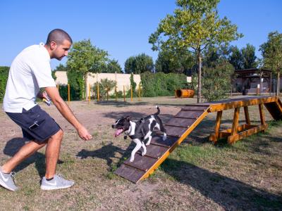 campingtahiti en holiday-offer-in-camping-village-in-lido-delle-nazioni-with-four-legged-friends-allowed 021