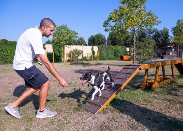 campingtahiti en holiday-offer-in-camping-village-in-lido-delle-nazioni-with-four-legged-friends-allowed 016