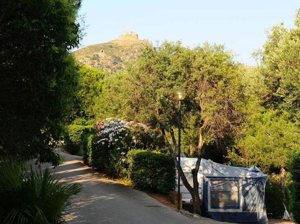 rosselbalepalme en offer-pitches-for-holidays-in-tent-or-camper-on-elba-island 022