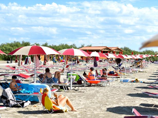 villaggiobarricata en offer-may-village-5-stars-po-delta-park-with-beach-and-pool 015