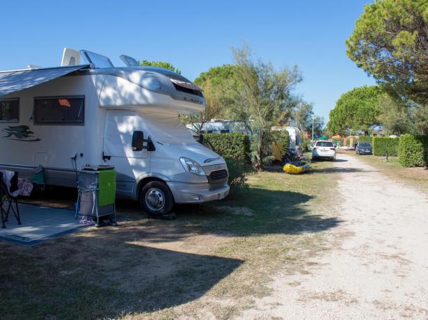 campinglido en holidays-on-a-pitch-in-pine-forest-by-the-sea-in-bibione 021
