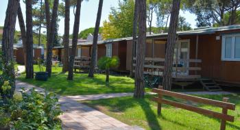 iltridente en offer-for-july-in-residence-campsite-in-bibione-b-b-or-half-board-with-beach-service 029