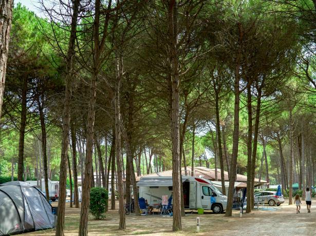 iltridente en camping-holidays-in-july-a-week-on-a-pitch-in-bibione 018