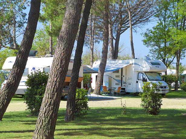 iltridente en camping-holidays-in-july-a-week-on-a-pitch-in-bibione 016
