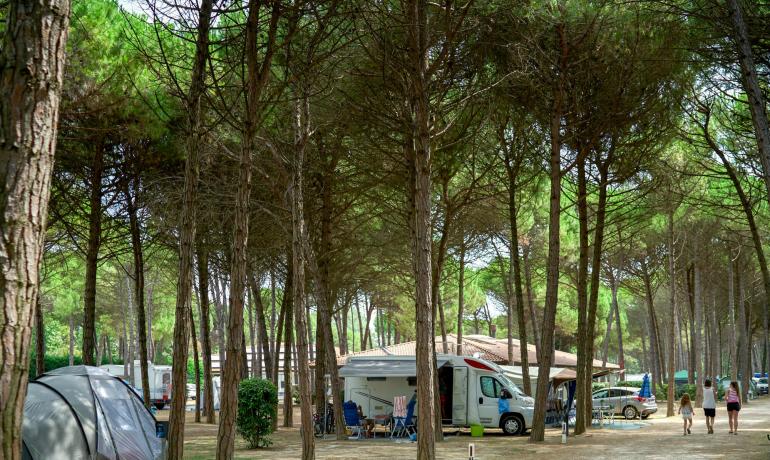 iltridente it vacanze-di-luglio-in-camping-settimana-in-piazzola-a-bibione 017