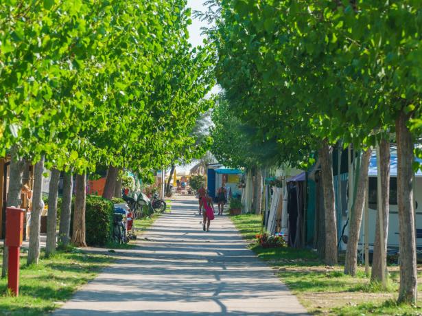 vacanzespinnaker it vacanze-in-sicurezza-in-villaggio-e-camping-sul-mare-nelle-marche 007