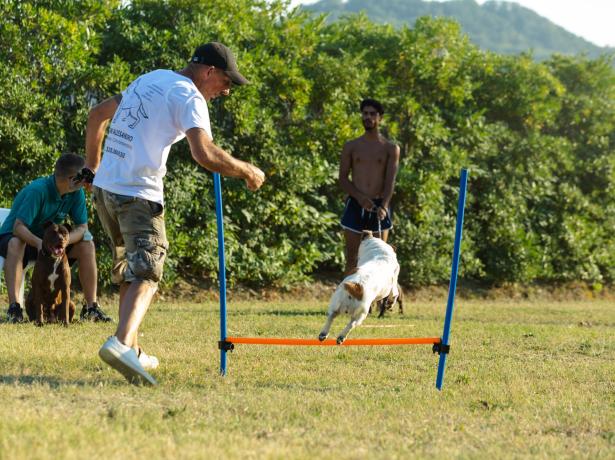 vacanzespinnaker it accettiamo-il-bonus-vacanze-in-campeggio-sul-mare-nelle-marche 010