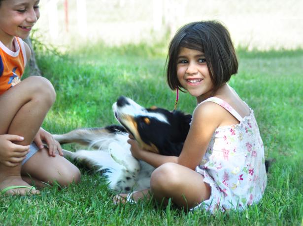 campinglecapanne fr offre-reservez-en-avance-pet-friendly-au-camping-village-en-toscane 019