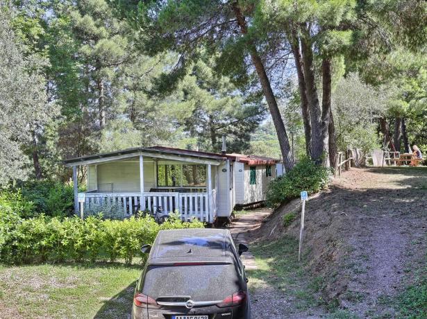 campinglepianacce it offerta-weekend-in-piazzola-in-campeggio-in-toscana 019