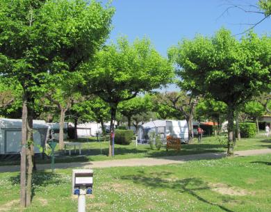 laquercia de campingplatz-lazise-gardasee-mit-privatstrand-und-services 036