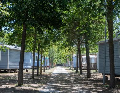 pinetasulmarecampingvillage en offer-for-the-weekend-on-may-1st-cesenatico-seaside-near-the-pine-forest-with-mobile-home 042