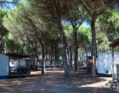 pinetasulmarecampingvillage en offer-for-nove-colli-in-mobile-home-with-parking-and-wi-fi-on-campsite-in-cesenatico 042